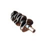 Crankshaft 129900-21000 For Yanmar