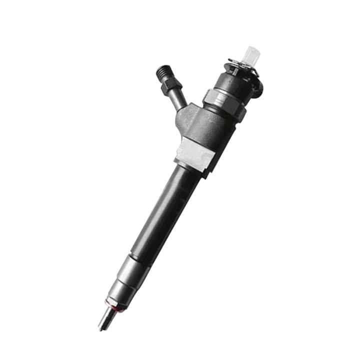 Fuel Injector 0445110250 for Ford main product photo