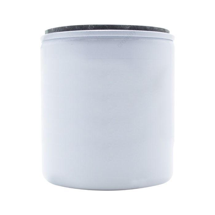 Fuel Filter 5011090 for Johnson main product photo