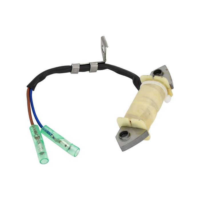 Charge Coil F15-07000300 for Yamaha main product photo