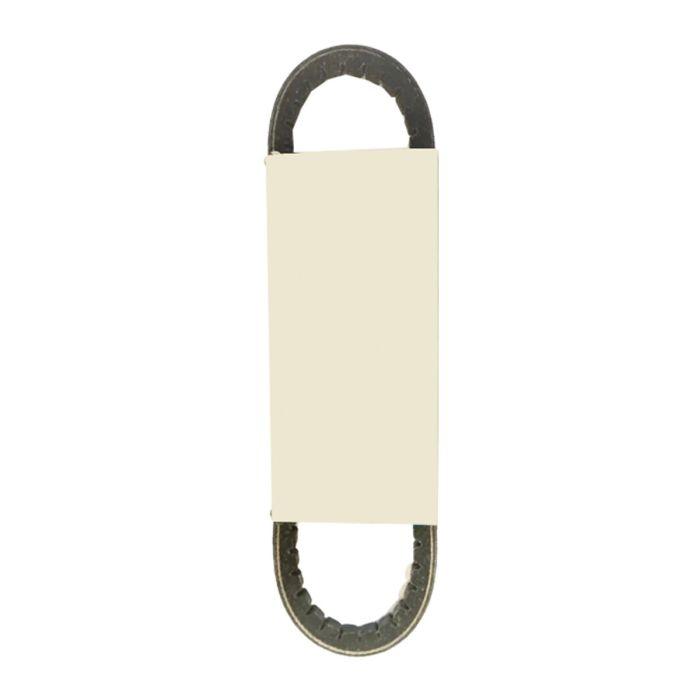 Alternator Belt 10-78-787 For Thermo King main product photo