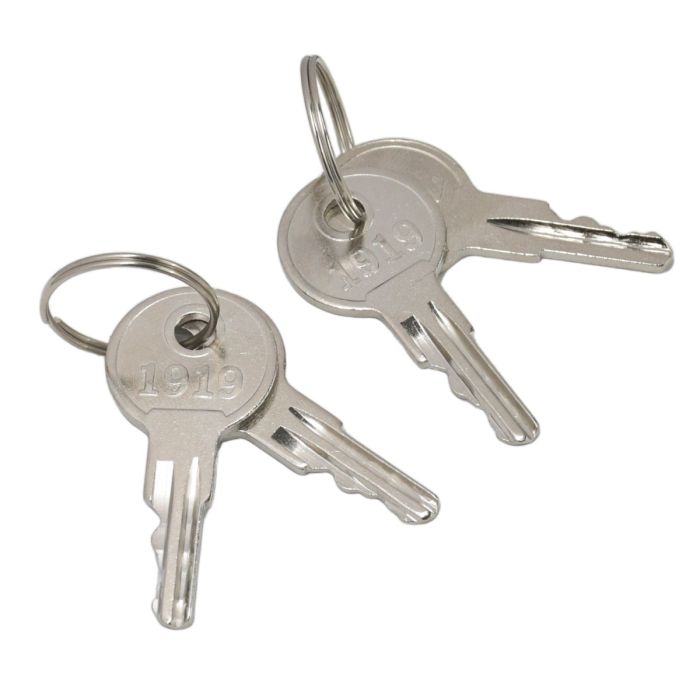 4pcs Key 1919 For EZGO main product photo