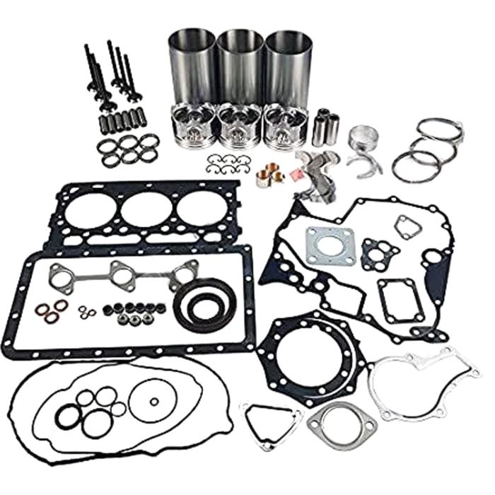 Overhaul Rebuild Kit for Kubota D902 main product photo