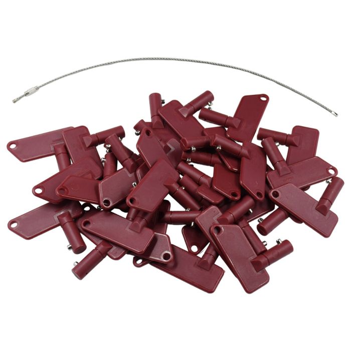 Battery Master Disconnect Isolator Key 87185 for Volvo main product photo