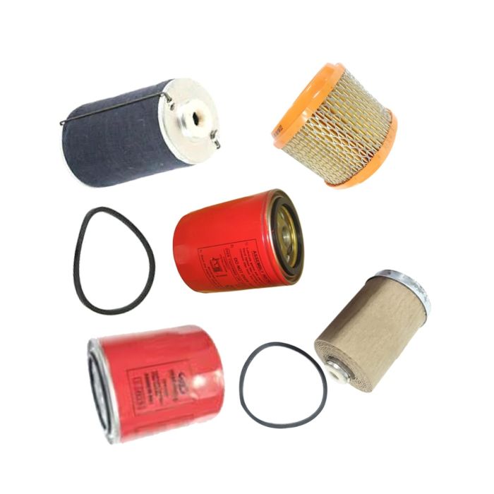 Filter Kit 005555890R91 For Mahindra main product photo