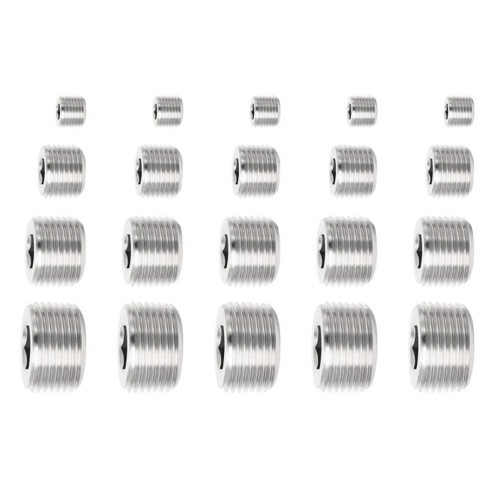 20PCS Pipe Plug Fitting Set 1/8 inch NPT 1/4 inch NPT 3/8 inch NPT 1/2 inch NPT main product photo