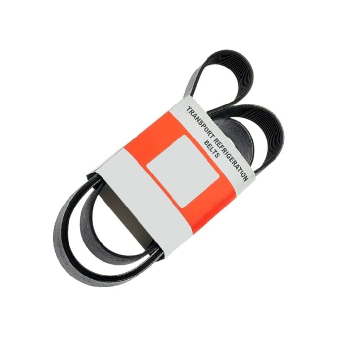 Belt 781831 For Thermo King main product photo