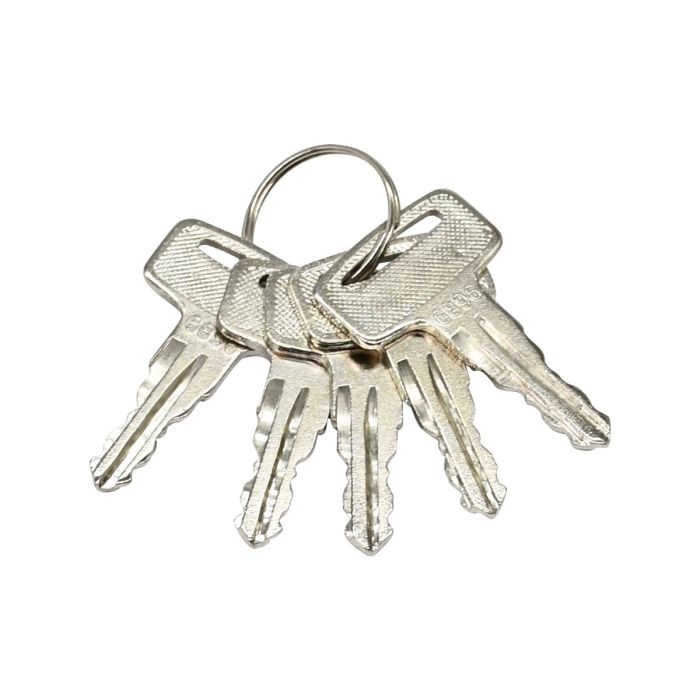 5Pcs Ignition Key 0160431 for Wacker Neuson main product photo
