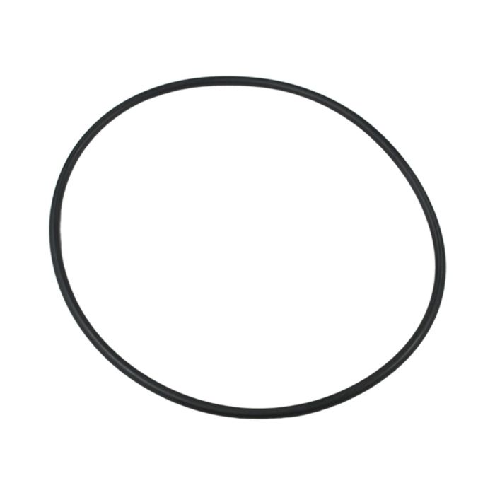 O-Ring 87300400 For Pentair main product photo