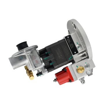 Common Rail Pump 3090942 for Cummins