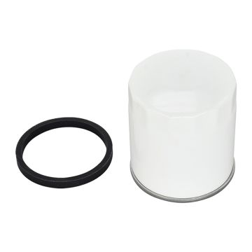 Oil Filter P502022 for JLG 