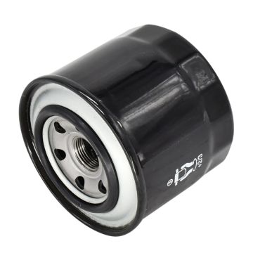 Fuel Filter P550048 for John Deere