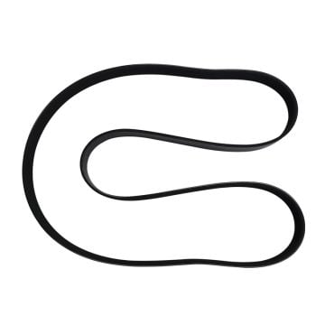 V Ribbed Belt 3289985 for Cummins