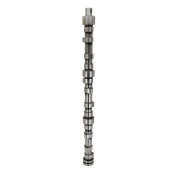 Camshaft for Hino Engine W06E W06D