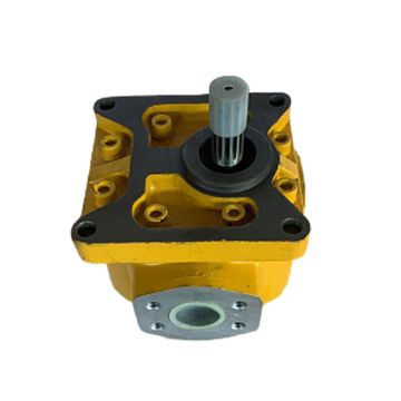 Pump Assy 07436-66800 for Komatsu
