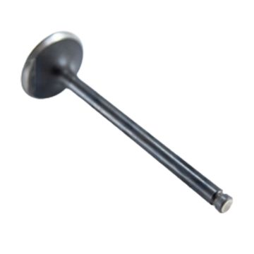 Intake Valve Head 11-5850 For Thermo King