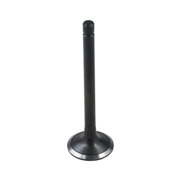 Intake Valve 25-38087-00 For Carrier