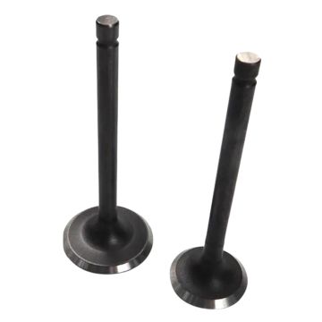 Exhaust Valve Inlet Valve For Kipor Kama