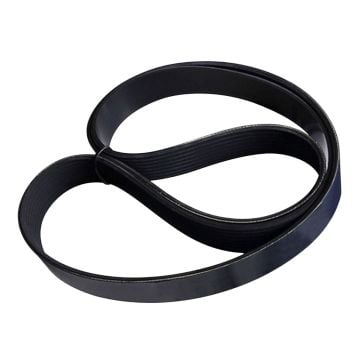 V Ribbed Belt 4945503 For  Cummins