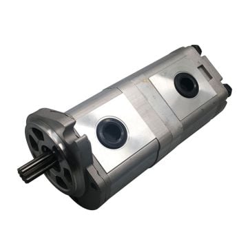 Double Gear Pump for Hitachi