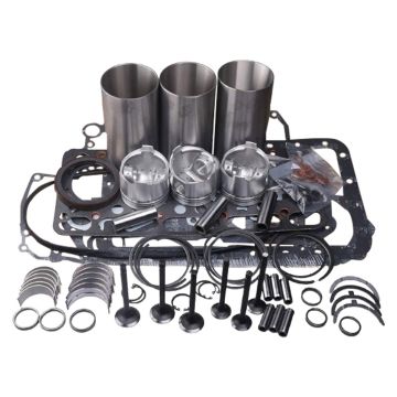 Overhaul Rebuild Kit for Kubota