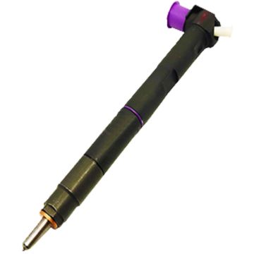 Fuel Injector EMBR00203D For Delphi