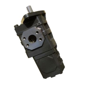 Gear Pump 11C0038 For LiuGong