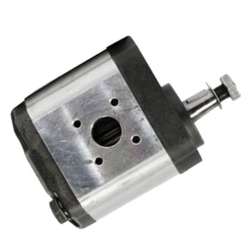 Gear Pump 01175656 for Deutz