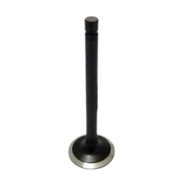Intake Valve 16484-13110 For Kubota