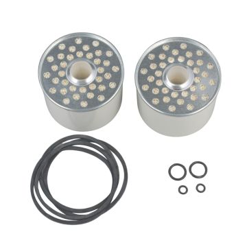 2Pcs Fuel Filter EDPN9N074AA For Ford