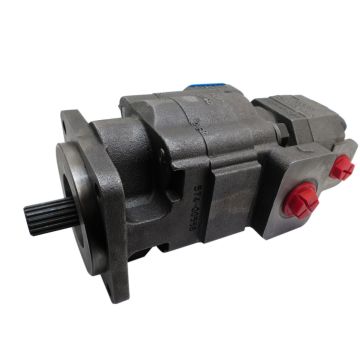 Hydraulic Pump 257955A1 for CASE