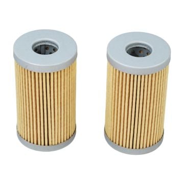 2Pcs Fuel Filter 84612-4316-0 For McCormick