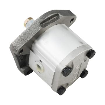 Hydraulic Pump 704330R95 For Case IH
