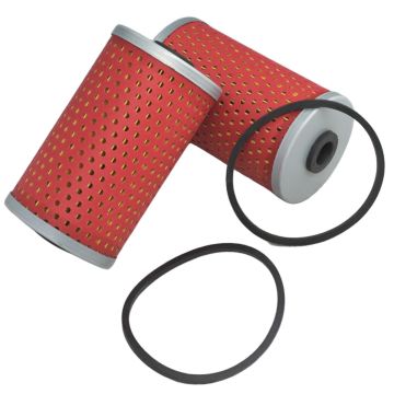 2Pcs Fuel Filter with Gasket 001081778R93 For Mahindra