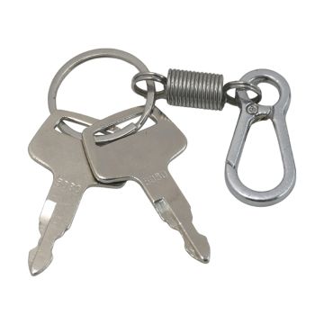 2PCS Ignition Keys 069029029 For Case IH