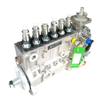 Fuel Injection Pump 4989873 3976437 3976438 for Cummins