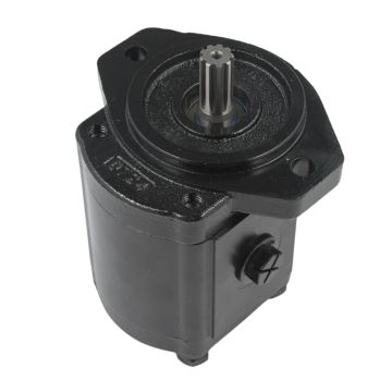 17cc Clockwise Gear Pump 111.20.134.00 for Oil Inlet