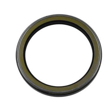 Skeleton Oil Seal AP4063B For NOK