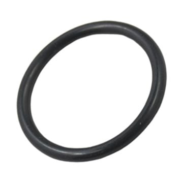 Oil Tube O-Ring 53020861