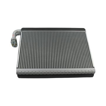 A/C Evaporator YN20M00107S020