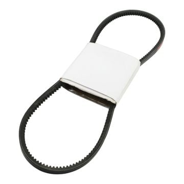 Fan Belt 71131774
