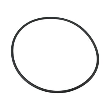 O-Ring 87300400 For Pentair