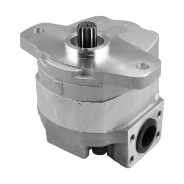 Hydraulic Gear Pump 102498 For Gehl 
