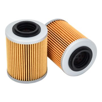 2Pcs Oil Filter 0800-011300 CFMoto UTV ATV Cforce Zforce Uforce 400 500 600 800 900 950 1000