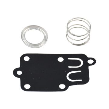 Buy Diaphragm Kit 5021D For MTD B & S 3-5 HP horizontal shaft engines Online
