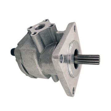 Hydraulic Pump 1991524C2 for CASE 