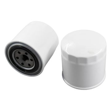 6675517 2Pcs Oil Filter P550318 LF3400 2Pcs For Bobcat 