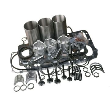 Overhaul Rebuild Kit 119810-22080 For Yanmar 
