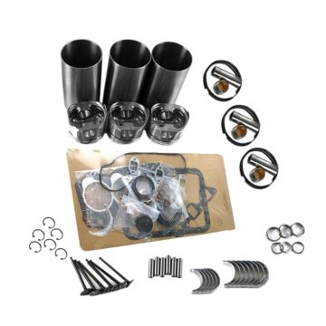 Complete Overhaul Rebuild Kit 16861-21110 For Kubota 