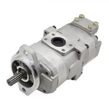 Hydraulic Pump 705-51-22000 for Komatsu 